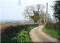 Lane to Hay Farm, near Four Ashes, Staffordshire