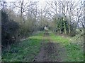 Malmesbury branch trackbed