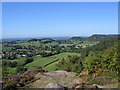 The View from Bickerton Hill