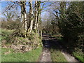 Track on Millaton Moor