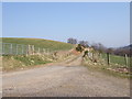 Track to Convalleys Farm