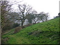 Approaching Sweetcombe