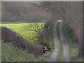 Cairn Lonning