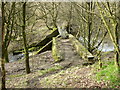 Footbridge over brook