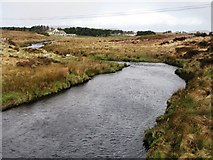 F8737 : Upstream from Annie Brady Bridge, Mayo by Robert Bone