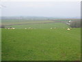 North Cornish farmland