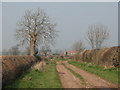 Bestmire Lane & Brockholme Farm