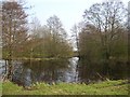 Pond - outskirts of Sutton on the Forest