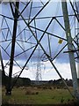 Pylons on the Fawley Inclosure.