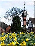 SJ6855 : Queens Park clock tower in the Spring by Crewe blog