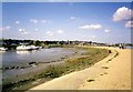 High summer  low tide