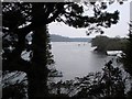 View down Percuil River in the St Mawes direction