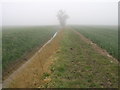 Drain and Bridleway