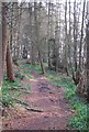 Footpath in Park Copse