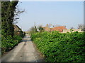 View along lane towards Chambers Wall