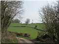 Countryside around Dinas Powys