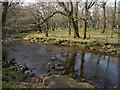 River Plym near Dunstone