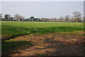 Field House, Clent