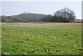 Site of Quarry (dis) near Haredene Wood