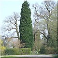 Public Footpath through Garden, near Wrottesley Hall