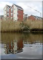 New Build on the Banks of the Tees