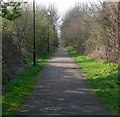 Looking northwest along the Forest Way, Leicester.