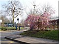 Sheldwich Primary School