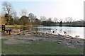 Groby Pool, Leicester.