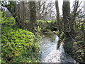 Tributary of the River Wylye