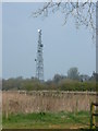 Telecoms mast