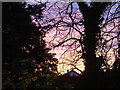 Winter sunset, Woodgreen, Witney