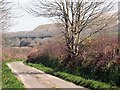 Lane to Burthy Farm with china clay waste tips in the background