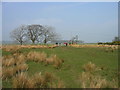 Footpath leading to Wingates