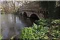 Shady side of the bridge, River Avon, Ringwood