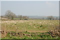 Farmland north of Middle Barton