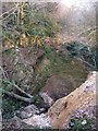 Ravine in Bullhall Wood