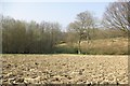 Recently ploughed field.