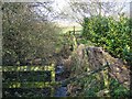 Footpath and Brook in Duddon