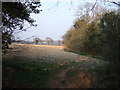 Field beside Bullhall Wood