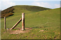 Gallt-y-wrach hillside