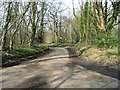 Junction of roads in Fryarne Park Woods