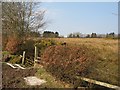 The bog at Snab Corner