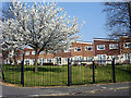 Housing off Concorde Drive