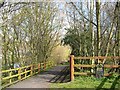 Fens Pools Nature Reserve, near Brierley Hill, West Midlands