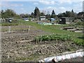 Bennetts Road Allotments