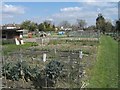 Bennetts Road Allotments