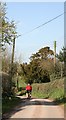 Lane near to Tunstall Hall