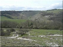 TQ2611 : Devil's Dyke Coombe by Peter Cox