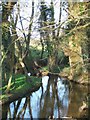 Stream at the Edge of Hamptworth Golf Club