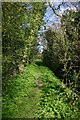 Footpath to Tan Office